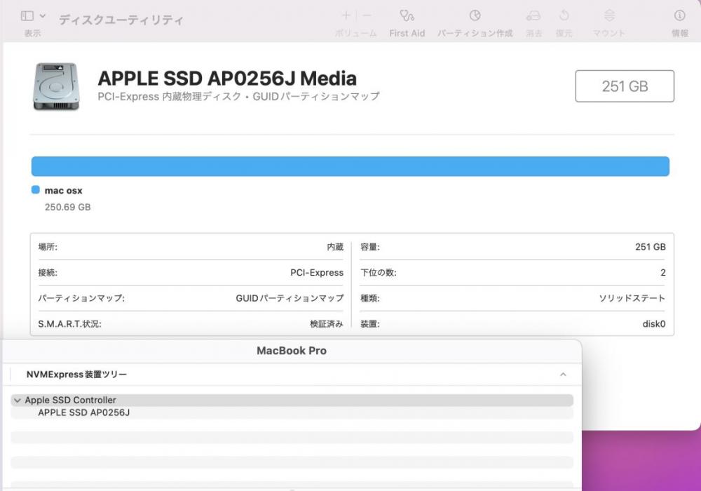  中古 2K対応 13.3型 Apple A1708 Mid-2017 macOS Monterey(正規Win11追加可) 七世代 i5-7360U 8GB 256GB-SSD カメラ 無線 中古パソコン 税無