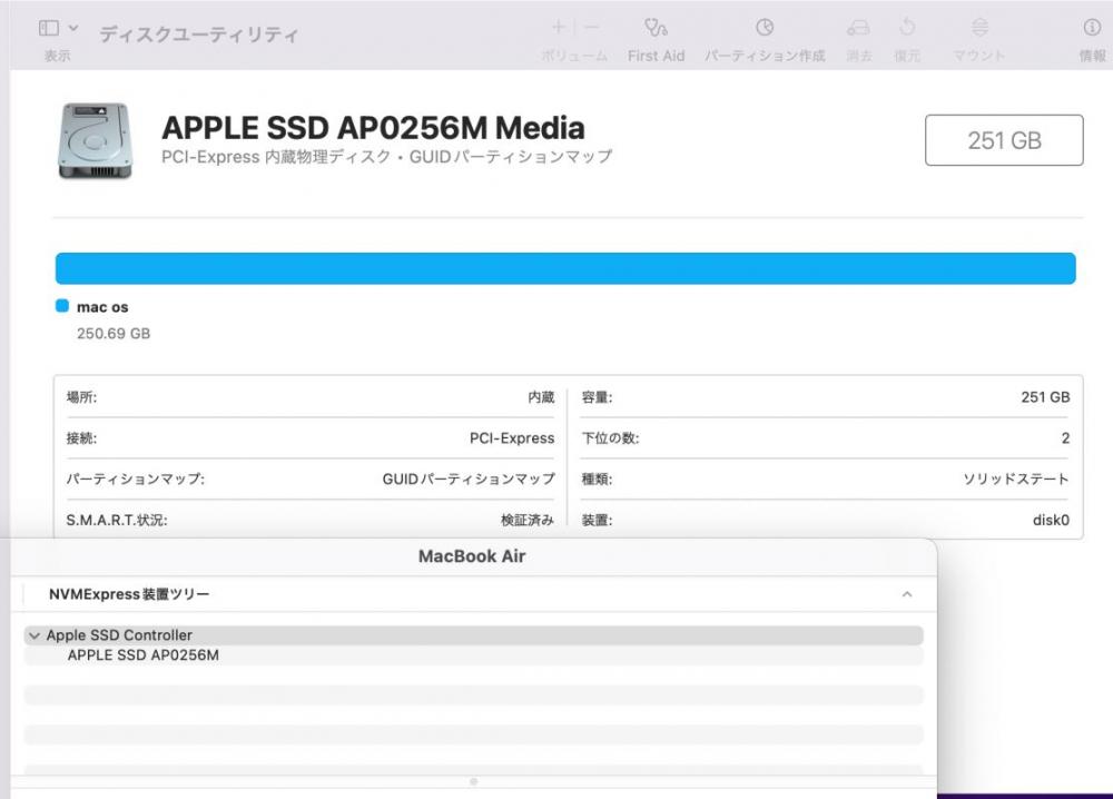  中古 2K対応 13.3型 Apple MacBook Air A1932 (2018年) macOS Monterey(正規Win11追加可) 八世代 i5-8210Y 8GB 256GB-SSD カメラ 無線 中古パソコン