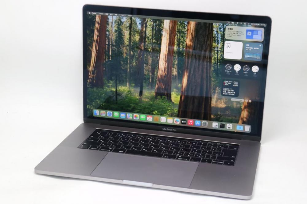 充放電回数42回 美品 2.8K液晶 15.4型 Apple MacBook Pro A1990 Mid-2018 (Touch Bar) グレー macOS 15 Sequoia 第8世代 i7-8750H 16GB NVMe 256GB-SSD Radeon Pro 555x 管:1822h