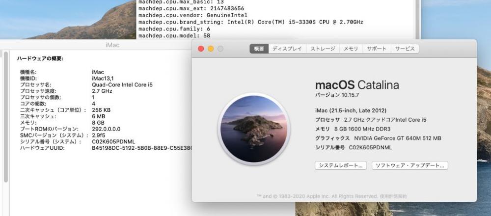  中古 フルHD 21.5型液晶一体型 Apple iMac A1418 Late 2012 macOS 10.15 三世代 i5-3330S 8GB 1000GB NVIDIA GeForce GT 640M カメラ 無線 中古パソコン